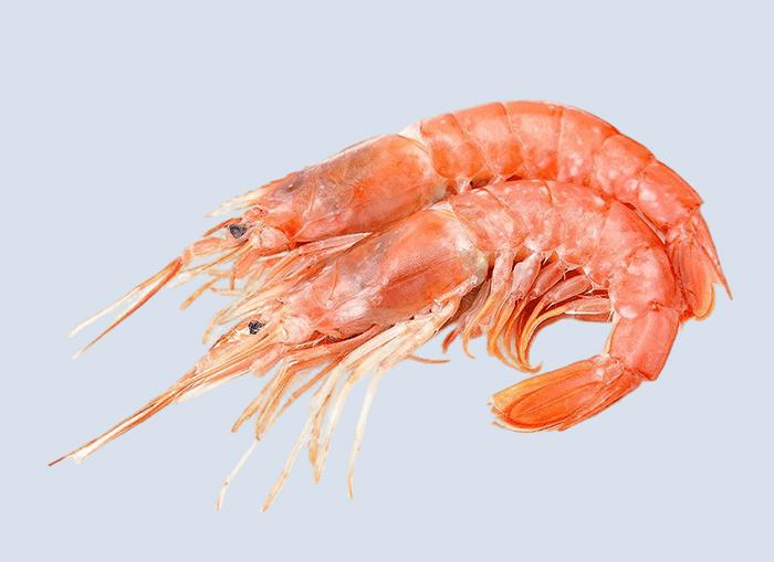 Pink Prawns